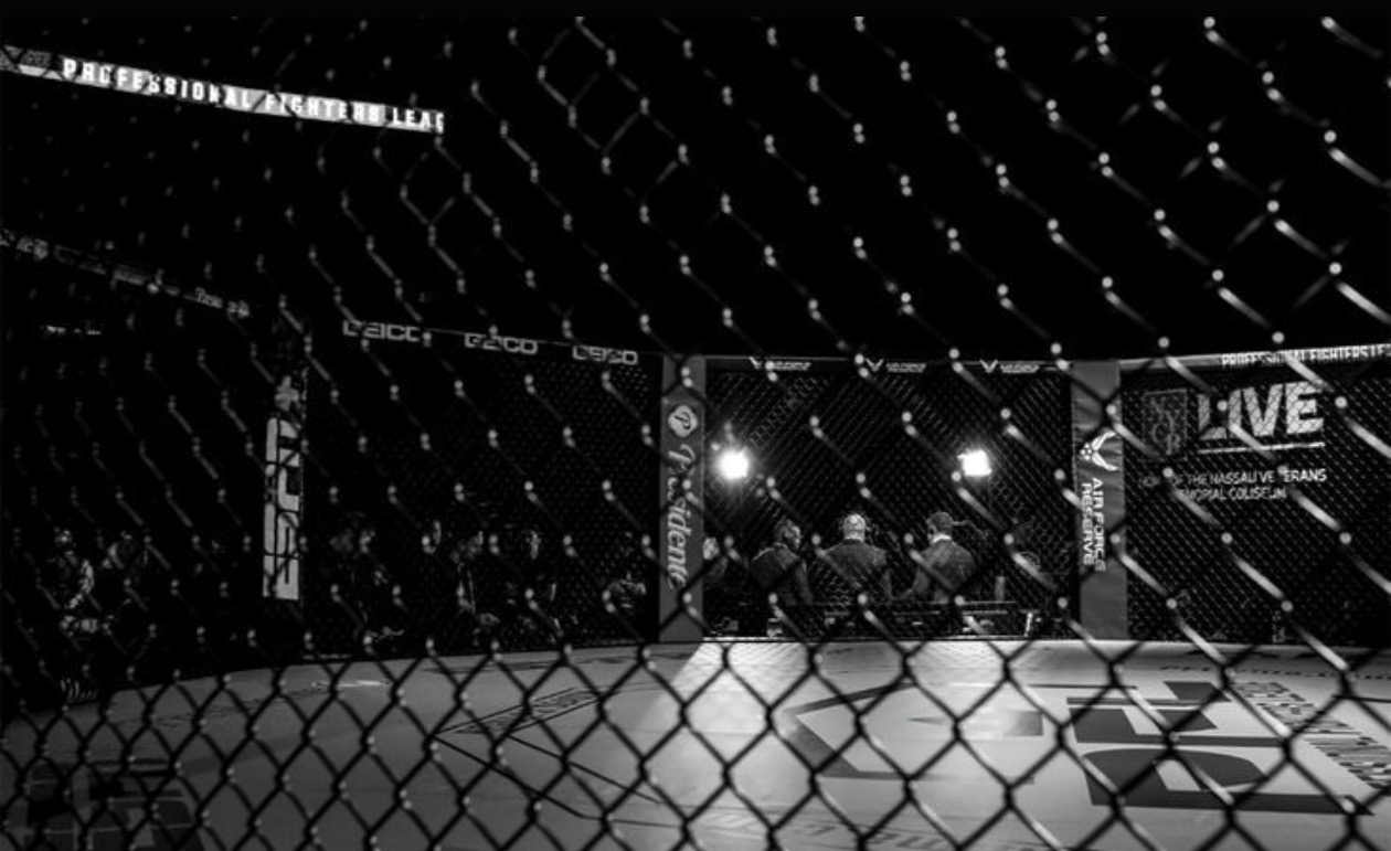 View through a combat sports cage before an event