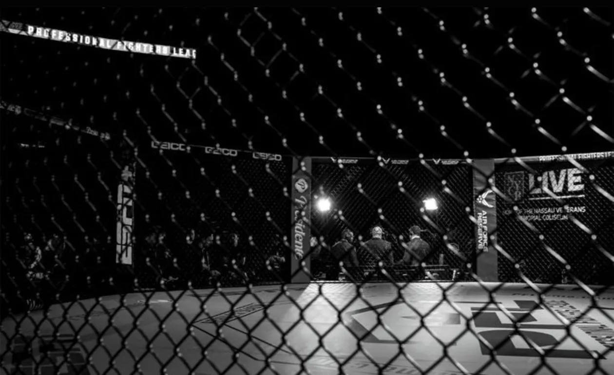 View through a combat sports cage before an event